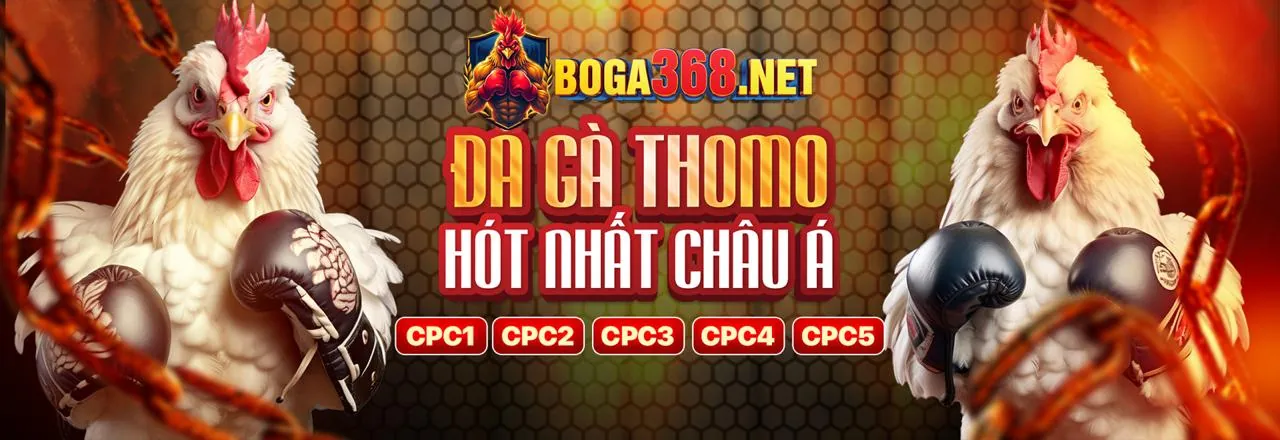 Ưu điểm khi chơi đá gà tại big777 app